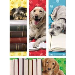 Marque-pages - chiens (lot/200)